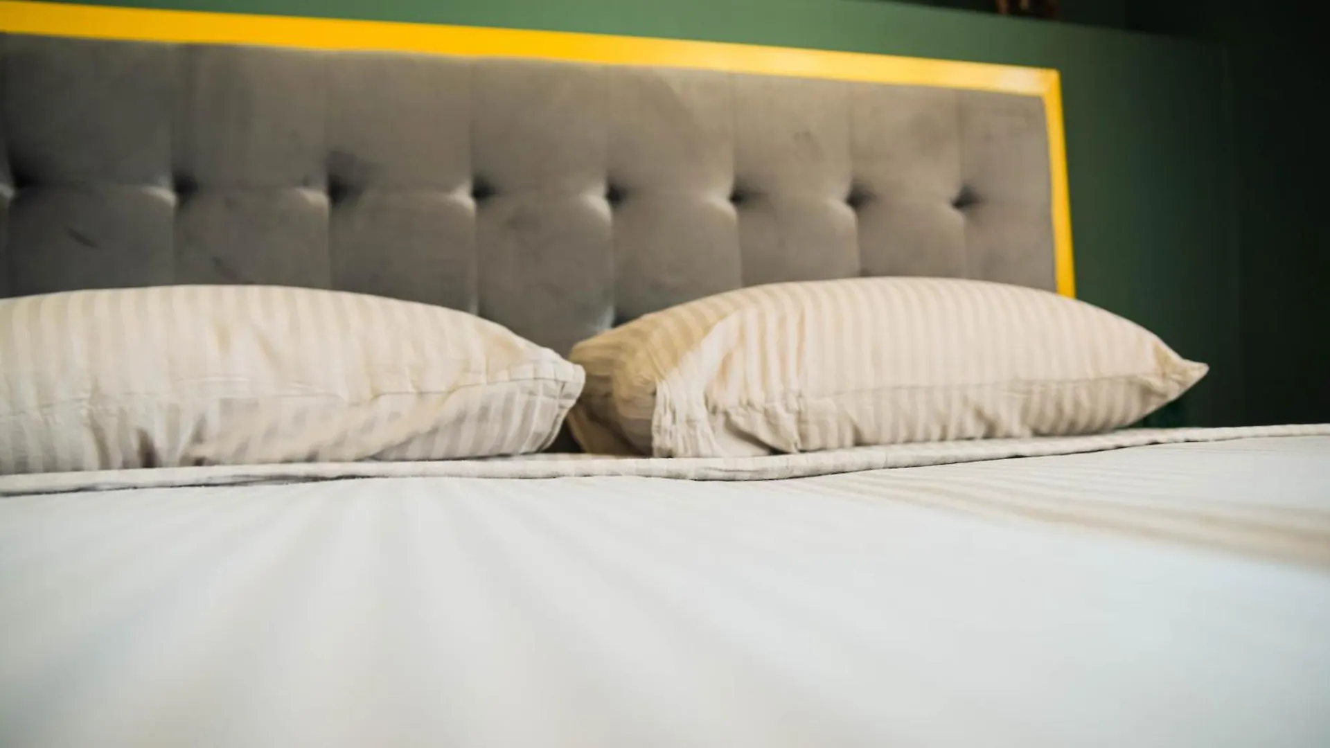 Wonderland Rooms For Rent Sofia Bulgaria